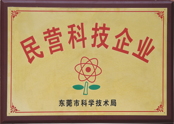 民营科技企业